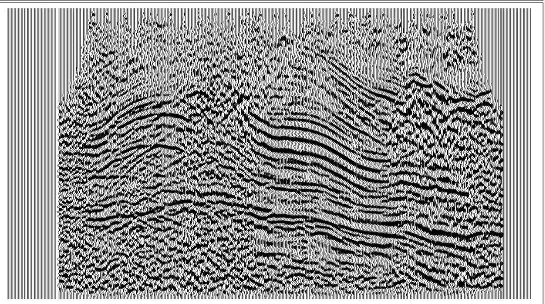 Raw stacked section on Profile 1: reflector continuity is broken across the line.